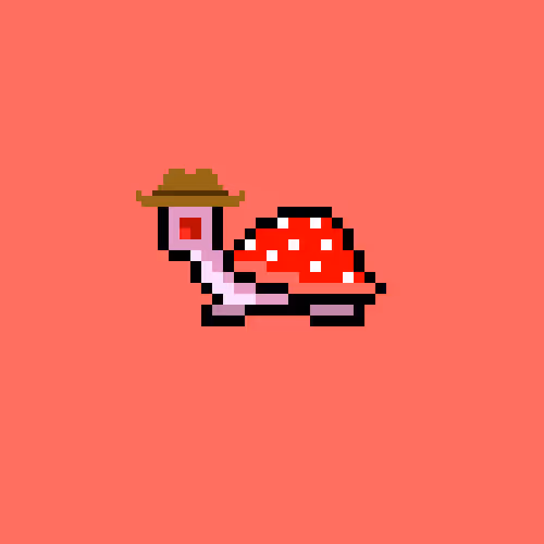 I Like Turtles #909