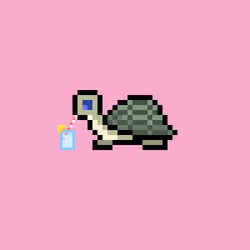 I Like Turtles #992