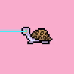I Like Turtles #517