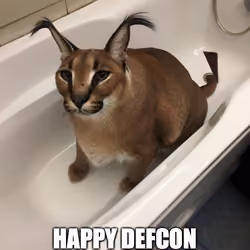 Artifact XII; Defcon 1 at its Calmest