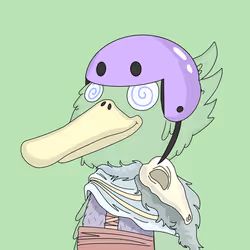Duck #881