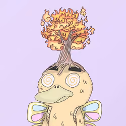 Duck #1107