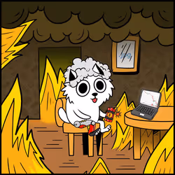593