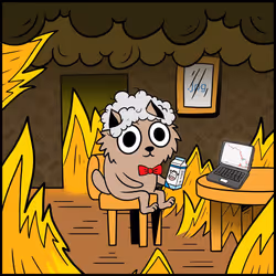 51