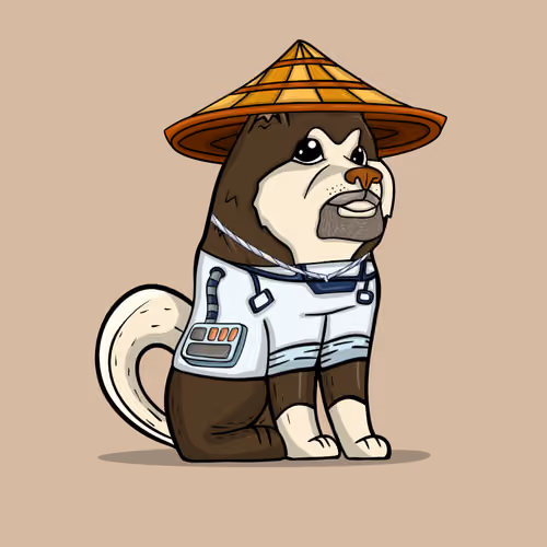 The Doge Army #773