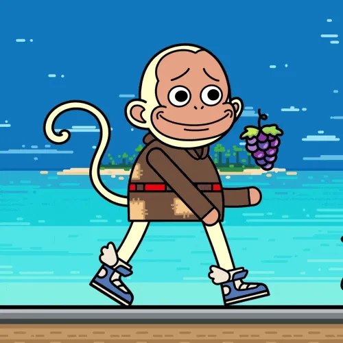 Babymonkeyofficial