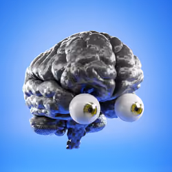 Big Brains Club #694