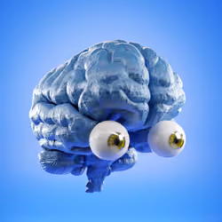 Big Brains Club #692