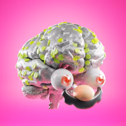 Big Brains Club #63
