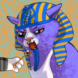 Everything Cat #1777