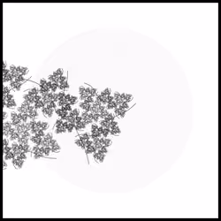 Framergence #2884436950