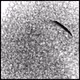 2952201077