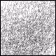697369560