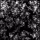 3739091880