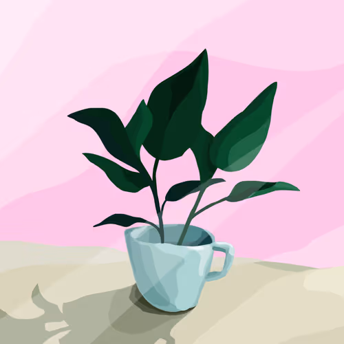 Still Life Vectors