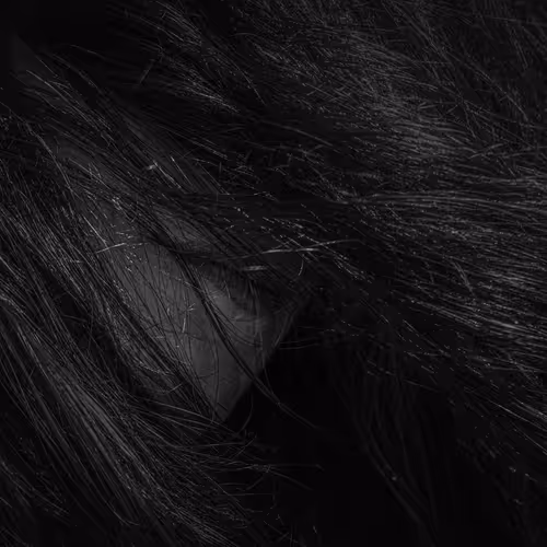 The Woman Who Hid Her Face From The World