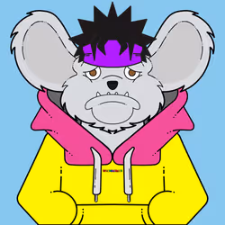 41