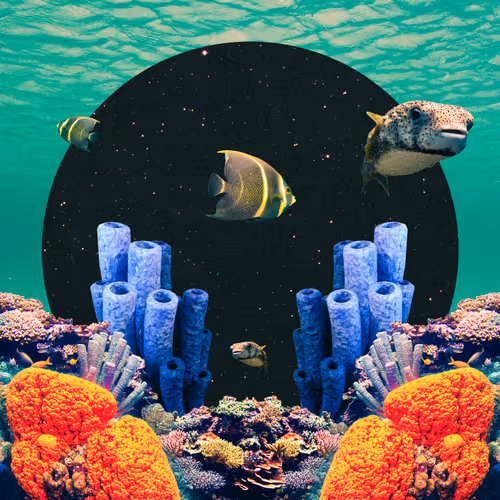 As Above So Below By Post Wook