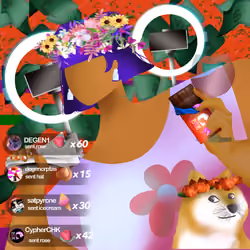255