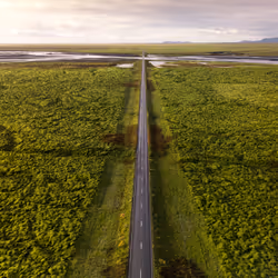 The Road Untraveled