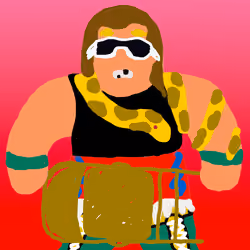 Wrestling Superstars #787