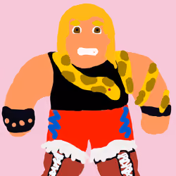 Wrestling Superstars #234