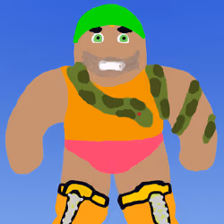 Wrestling Superstars #1135