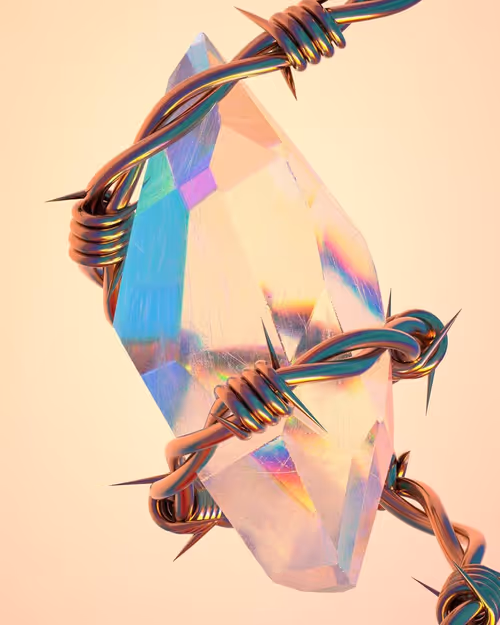 Item #66 Media