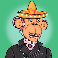 High Roller Ape Club #260