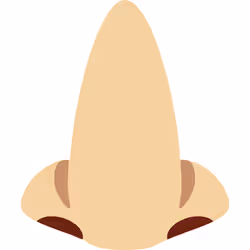 80
