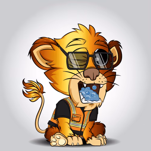 JT Cub #806