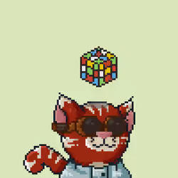Experiment #0226