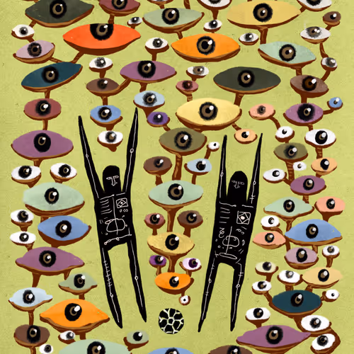 All Eyes on US 