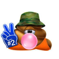 Poo #1771