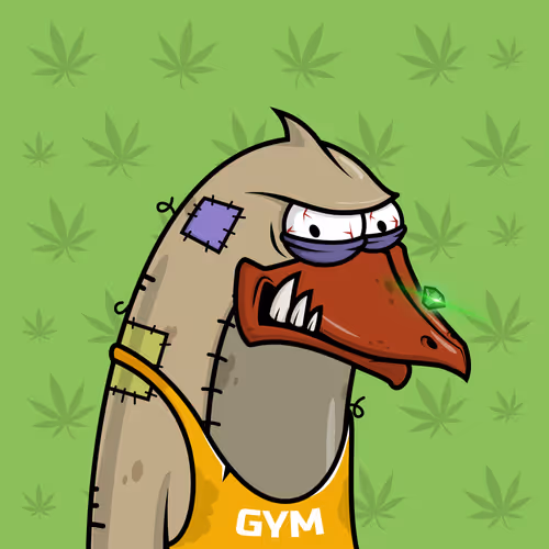 Angry Penguins Grotto Gang