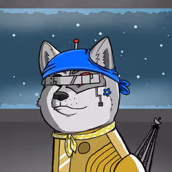 DogeXJR#323