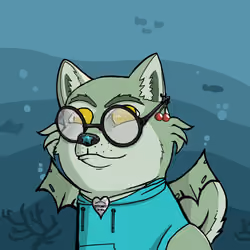 DogeXJR#694