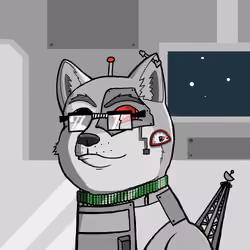 DogeXJR#961