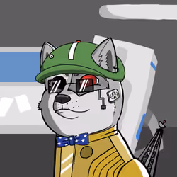 DogeXJR#959