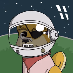 233