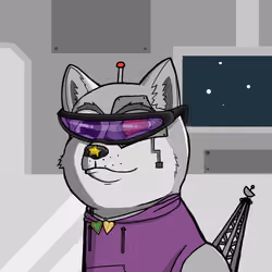 DogeXJR#753
