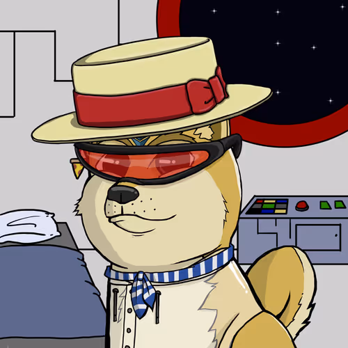 DogeXJR#163