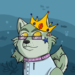 DogeXJR#1355