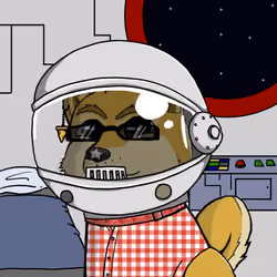 DogeXJR#1417