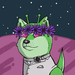 DogeXJR#2260
