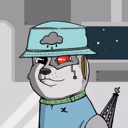 DogeXJR#1961