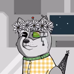 DogeXJR#721