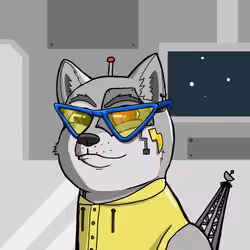 DogeXJR#957