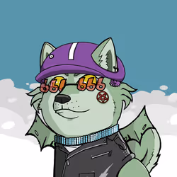 DogeXJR#1101