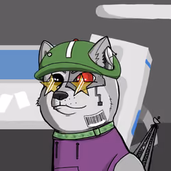 DogeXJR#1448
